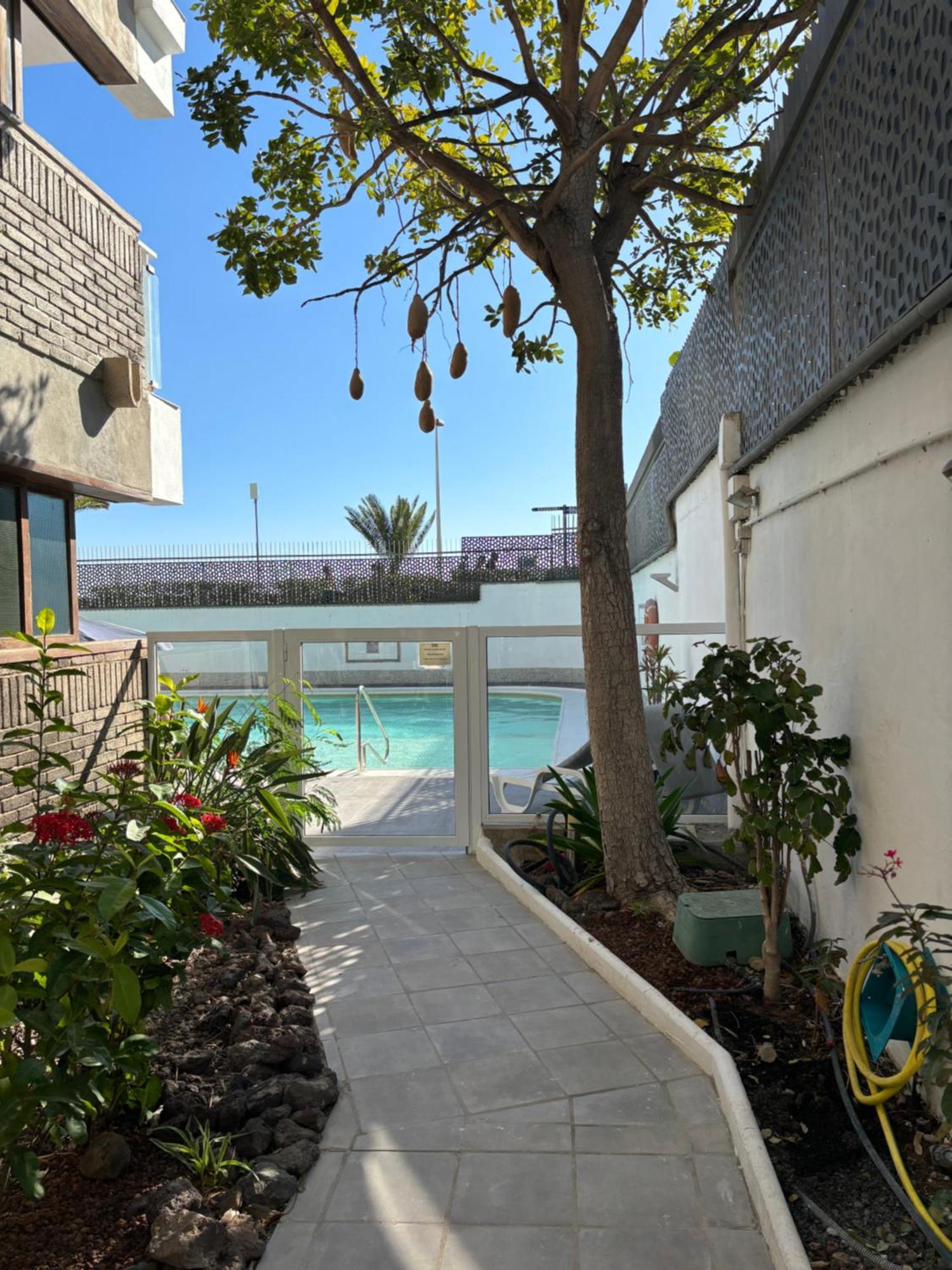 Apartamentos El Paseo بلايا ديل إنغلز المظهر الخارجي الصورة