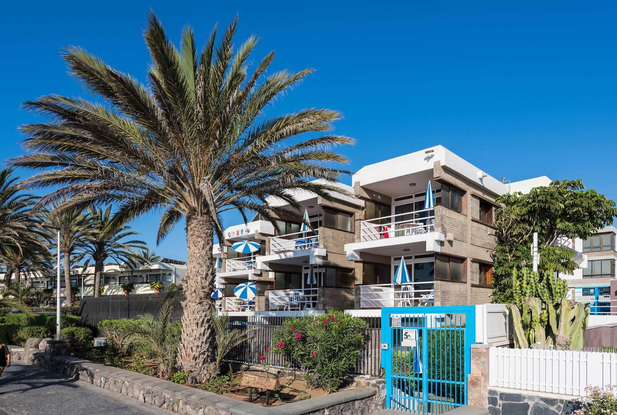 Apartamentos El Paseo بلايا ديل إنغلز المظهر الخارجي الصورة
